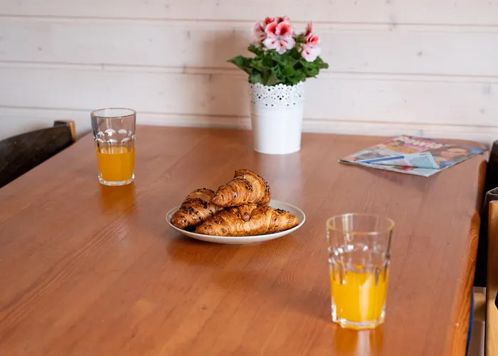 Primore База отдыха 3*